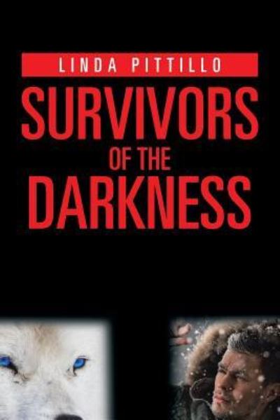 Cover for Linda Pittillo · Survivors of the Darkness (Paperback Book) (2017)