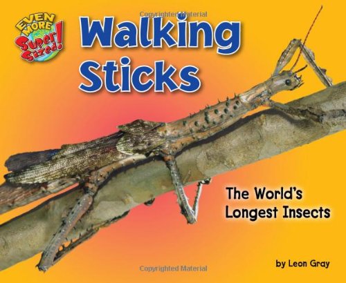 Cover for Leon Gray · Walking Sticks: the World's Longest Insects (Even More Supersized!) (Hardcover Book) (2013)