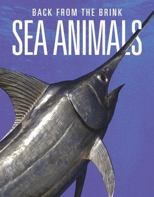 Cover for Joanne Mattern · Sea Animals (Book) (2025)