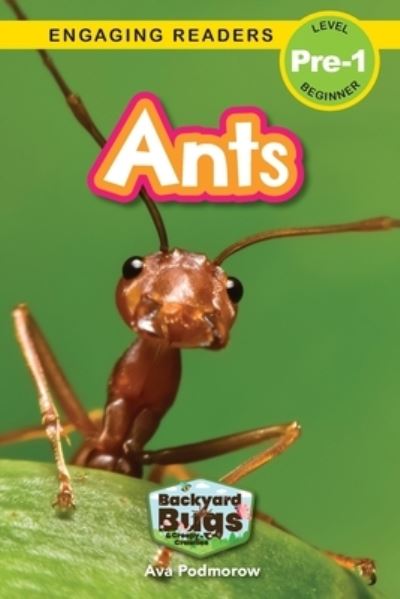 Ants - Ava Podmorow - Books - AD Classic - 9781774767337 - September 30, 2022