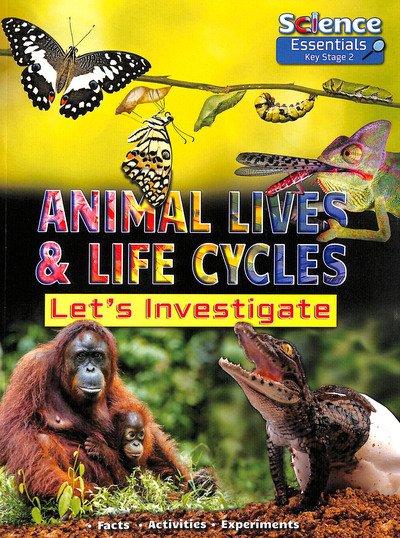 Animal Lives and Life Cycles: Let's Investigate Facts Activities Experients - Science Essentials Key Stage 2 - Ruth Owen - Books - Ruby Tuesday Books Ltd - 9781788560337 - May 30, 2019
