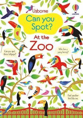 Cover for Kirsteen Robson · Can you Spot? At the Zoo - Can you Spot? (Paperback Book) (2025)