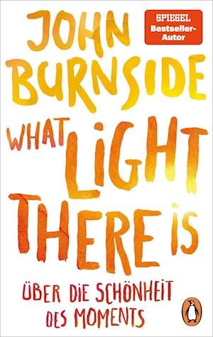 Cover for John Burnside · What light there is  Über die Schönheit des Moments (Book) (2022)