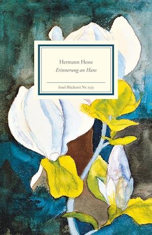 Cover for Hermann Hesse · Erinnerung An Hans (Book)