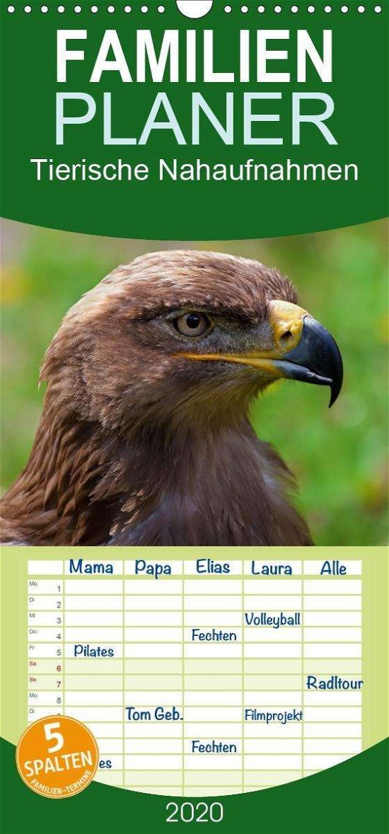 Tierische Nahaufnahmen - Fami - Valentino - Books -  - 9783671099337 - 