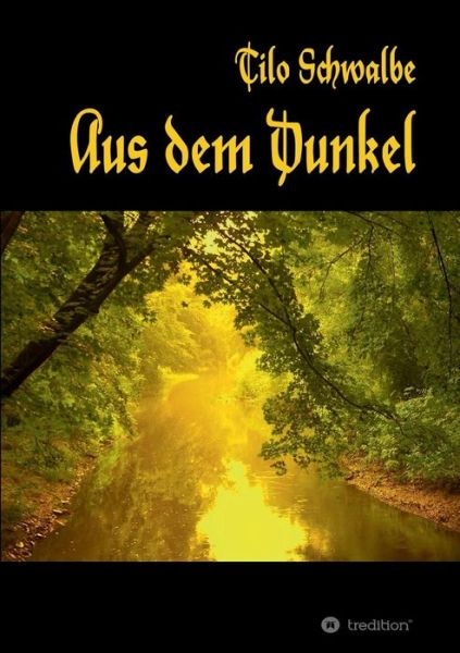 Cover for Schwalbe · Aus dem Dunkel (Book) (2018)