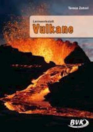 Cover for Zabori · Lernwerkstatt Vulkane (Book)