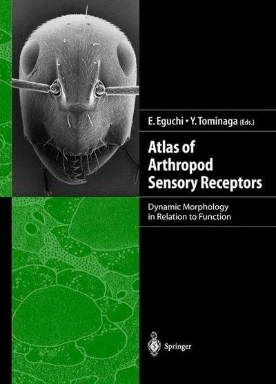 Atlas of Arthropod Sensory Receptors - Eisuke Eguchi - Kirjat - Springer Verlag, Japan - 9784431702337 - maanantai 1. helmikuuta 1999