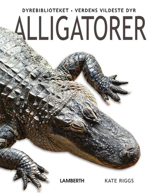 Verdens vildeste dyr: Alligatorer - Kate Riggs - Books - Lamberth - 9788772243337 - April 4, 2022