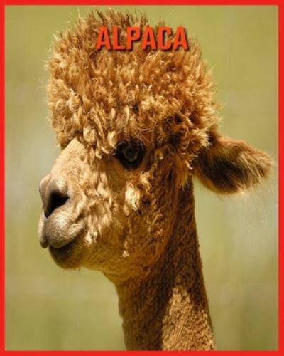 Cover for Annie Nichols · Alpaca (Paperback Book) (2021)