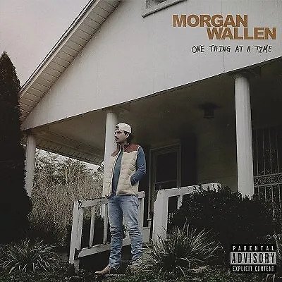 Cover for Morgan Wallen · One Thing At A Time (LP) (2023)