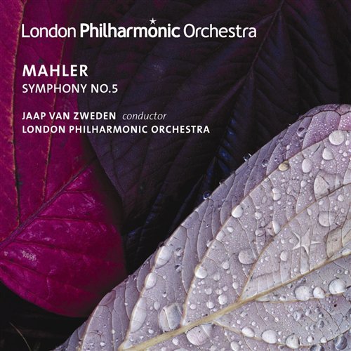 Cover for G. Mahler · Symphony No.5 (CD) (2019)
