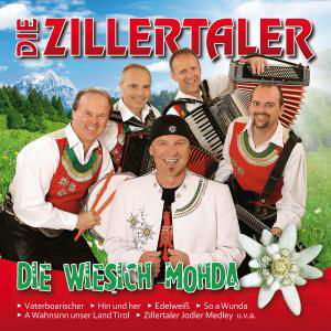 Cover for Die Zillertaler · Die Wiesich Mohda (CD) (2020)