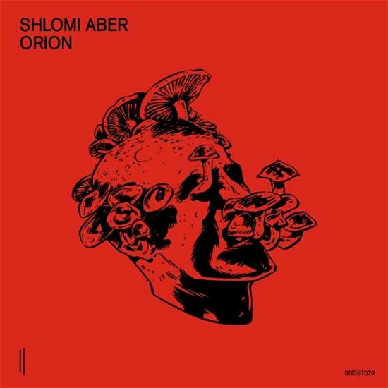 Cover for Shlomi Aber · Orion (LP) (2020)