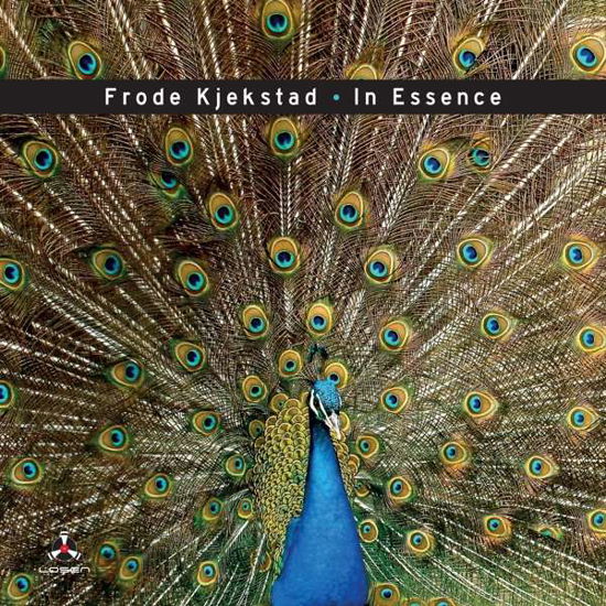 Cover for Frode Kjekstad · In Essence (CD) [Digipak] (2020)