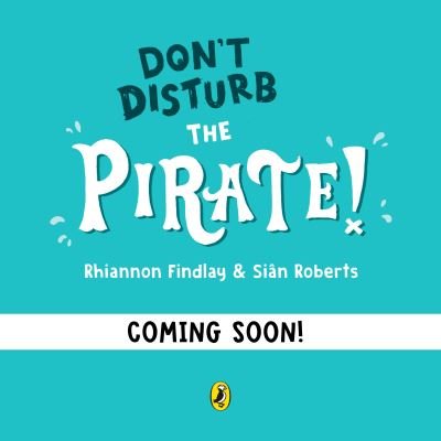 Cover for Rhiannon Findlay · Don’t Disturb The Pirate: from the author of the Ten Minutes to Bed series (Pocketbok) (2024)
