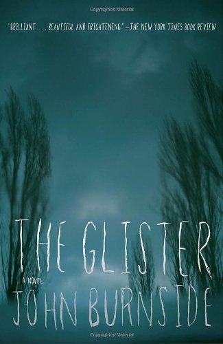Cover for John Burnside · The Glister (Paperback Book) [1 Reprint edition] (2010)