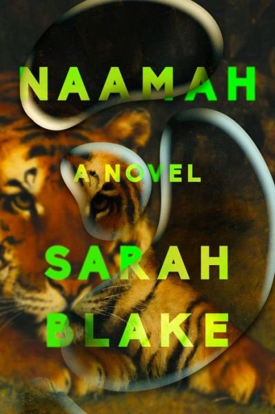 Cover for Sarah Blake · Naamah: A Novel (Innbunden bok) (2019)