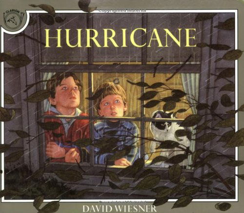 Hurricane Book & Cd - David Wiesner - Äänikirja - HarperCollins - 9780547064338 - maanantai 5. toukokuuta 2008