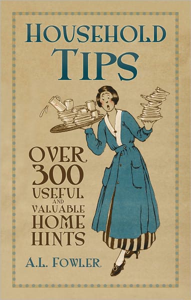 Cover for A L Fowler · Household Tips: Over 300 Useful and Valuable Home Hints (Paperback Book) (2011)