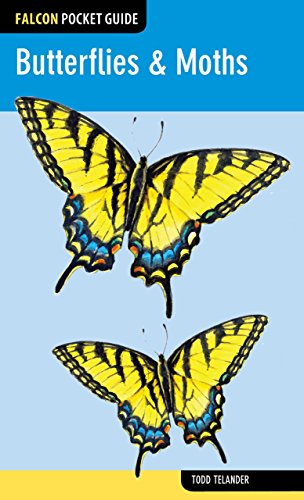 Cover for Todd Telander · Butterflies &amp; Moths - Falcon Pocket Guides (Paperback Book) (2013)