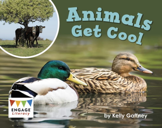 Cover for Kelly Gaffney · Animals Get Cool - Engage Literacy Red (Paperback Book) (2023)