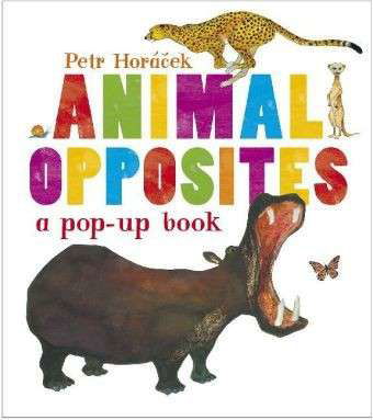 Cover for Petr Horacek · Animal Opposites (Hardcover bog) (2013)