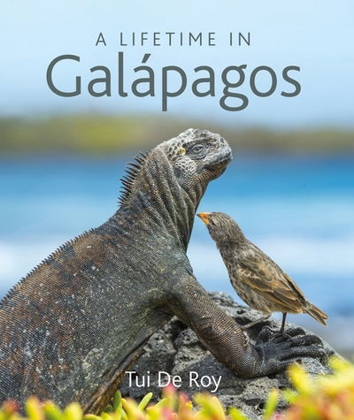 Cover for Tui De Roy · A Lifetime in Galapagos (Hardcover Book) (2020)