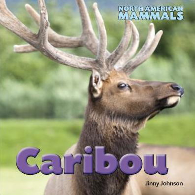 Cover for Jinny Johnson · Caribou (North American Mammals) (Innbunden bok) (2014)