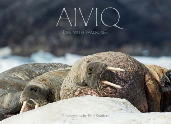 Cover for Aiviq: Life With Walruses (Hardcover Book) [English edition] (2019)