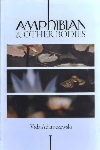 Cover for Vida Adamczewski · Amphibian and Other Bodies (Paperback Book) (2023)