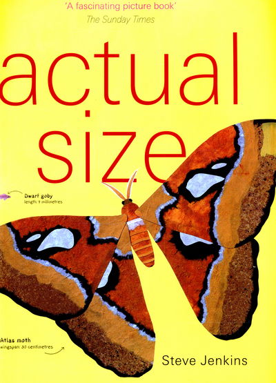 Cover for Steve Jenkins · Actual Size (Paperback Book) (2015)