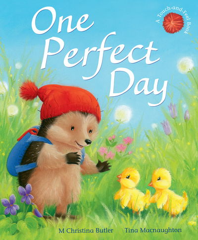 Cover for M Christina Butler · One Perfect Day - Little Hedgehog (Hardcover Book) (2018)