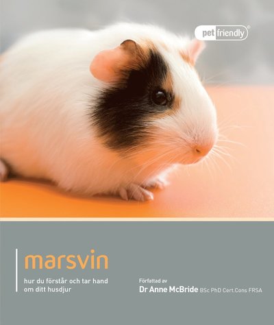 Cover for Anne McBride · Pet Friendly: Marsvin : hur du förstår och tar hand om ditt husdjur (Book) (2014)