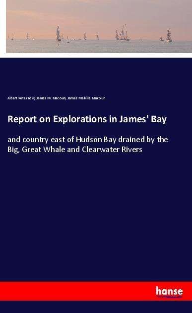 Cover for Low · Report on Explorations in James' Ba (Buch)