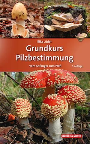 Grundkurs Pilzbestimmung - Rita Lüder - Books - Quelle & Meyer - 9783494019338 - October 10, 2022