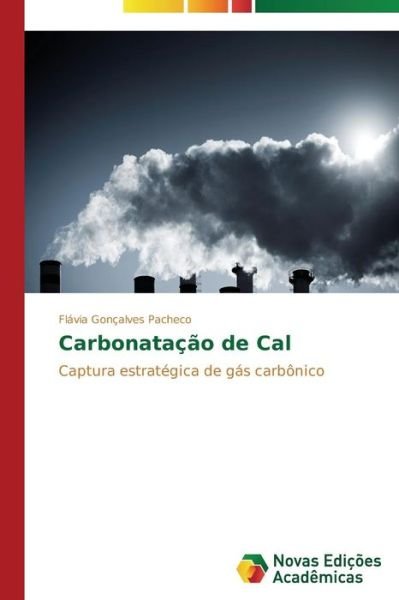 Cover for Flávia Gonçalves Pacheco · Carbonatação De Cal: Captura Estratégica De Gás Carbônico (Paperback Bog) [Portuguese edition] (2014)