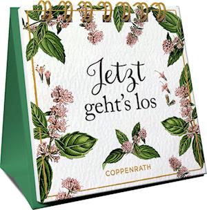 Cover for Jetzt geht's los (Book) (2024)