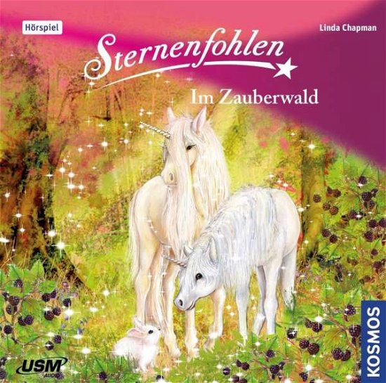 Cover for Sternenfohlen · Sternenfohlen 13: Im Zauberwald (CD) (2018)