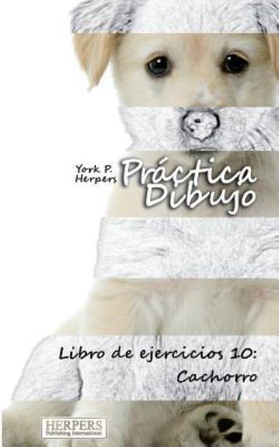 Cover for York P Herpers · Pr ctica Dibujo - Libro de ejercicios 10 (Paperback Book) (2015)