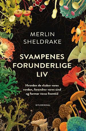 Cover for Merlin Sheldrake · Svampenes forunderlige liv (Sewn Spine Book) [1er édition] (2020)