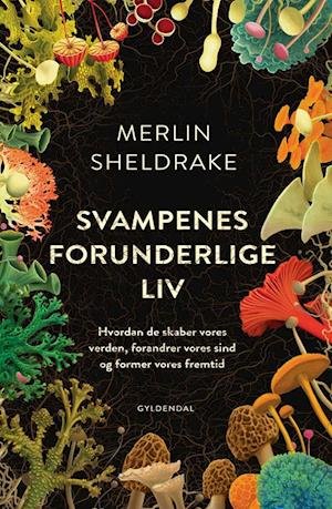 Cover for Merlin Sheldrake · Svampenes forunderlige liv (Sewn Spine Book) [1th edição] (2020)