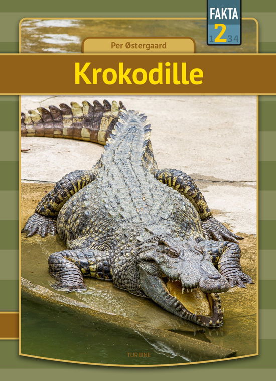 Fakta 2: Krokodille - Per Østergaard - Bøger - Turbine - 9788740665338 - 9. september 2020