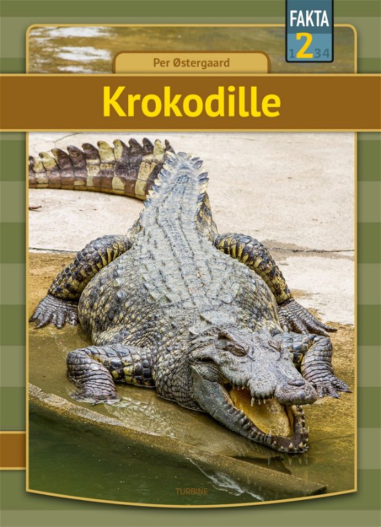 Fakta 2: Krokodille - Per Østergaard - Libros - Turbine - 9788740665338 - 9 de septiembre de 2020