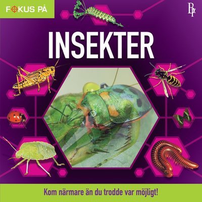 Cover for Maud Steen · Fokus på: Fokus på : Insekter (Bound Book) (2018)