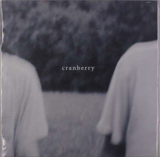 Cranberry - Hovvdy - Musique - Polyvinyl Records - 0811774029339 - 9 février 2018