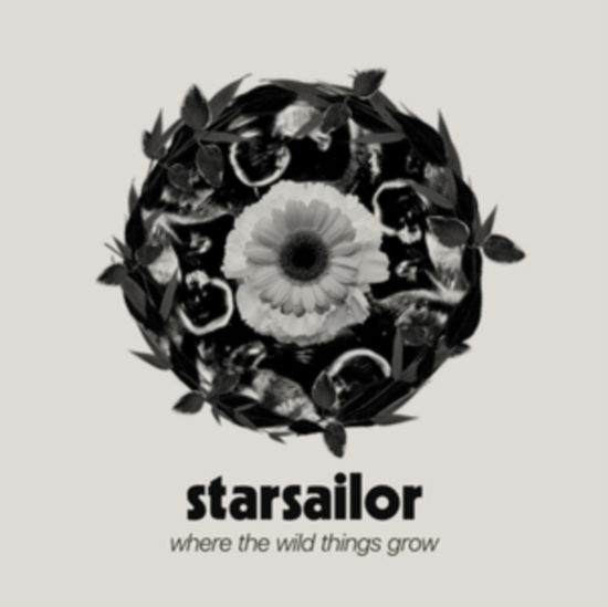 Where the Wild Things Grow - Starsailor - Musik - STARSAILOR - 5060148575339 - 29 mars 2024