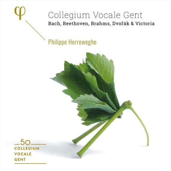 Cover for Collegium Vocale Gent / Philippe Herreweghe · 50th Anniversary (CD) (2020)