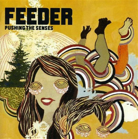 Cover for Feeder · Pushing the Senses (CD) [Bonus Tracks edition] (2005)