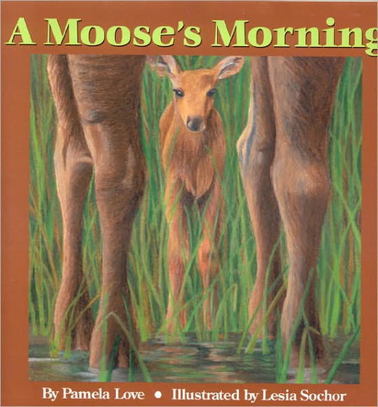 Cover for Pamela Love · A Moose's Morning (Hardcover Book) (2007)